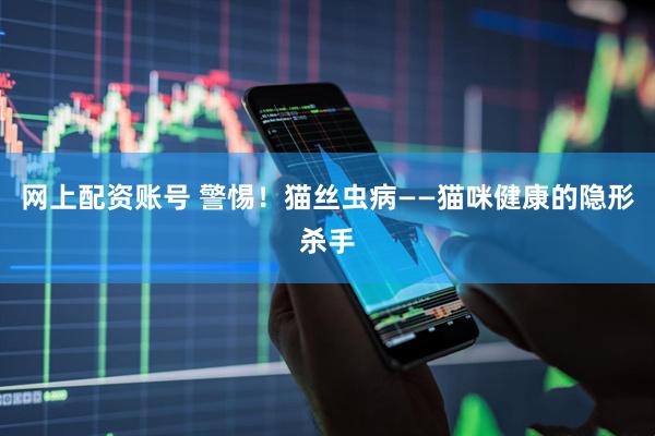 网上配资账号 警惕！猫丝虫病——猫咪健康的隐形杀手